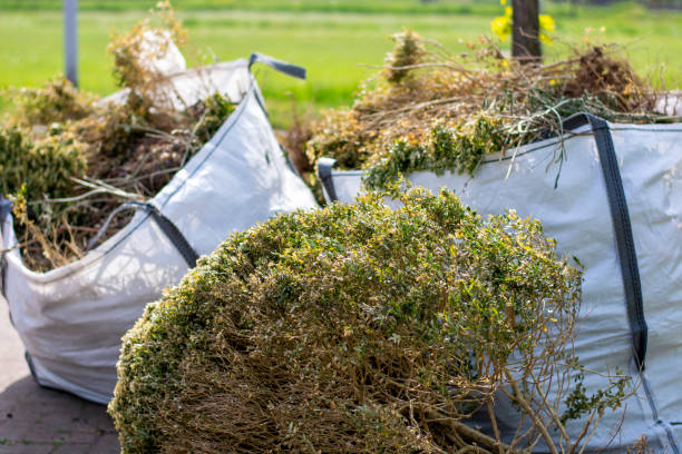 Best Affordable Junk Removal Services  in Juno Beach, FL